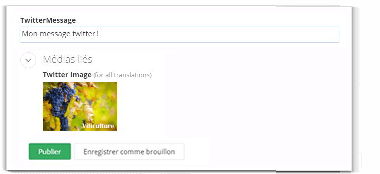 twitter-facebook-publication